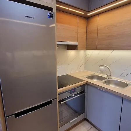 Queen Centrum Z Garazem Apartment